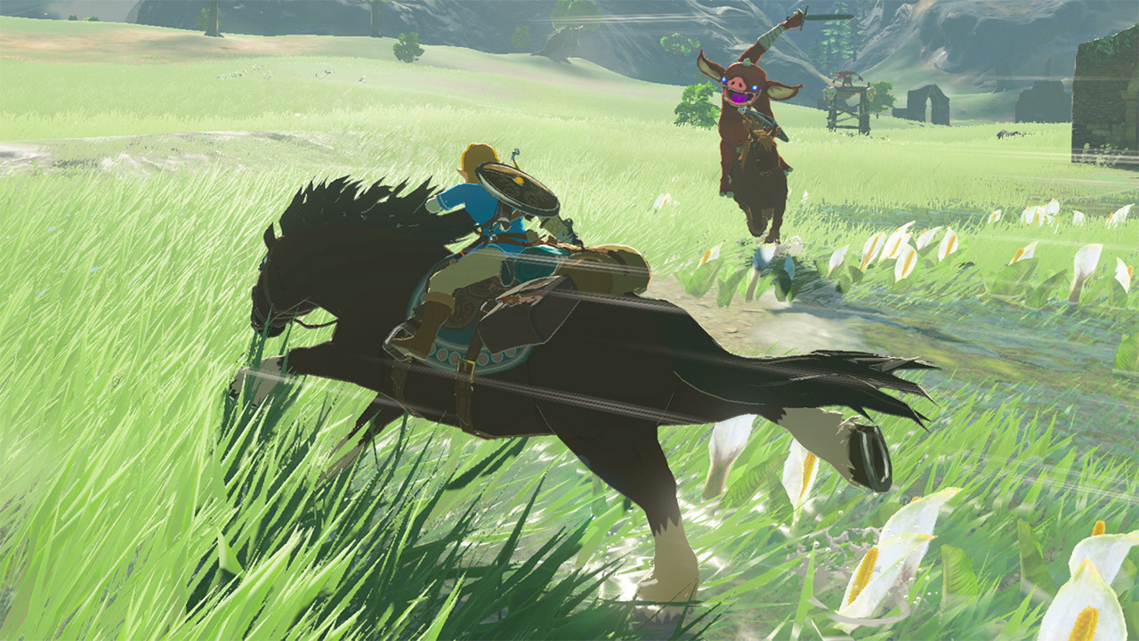 breath of the wild switch