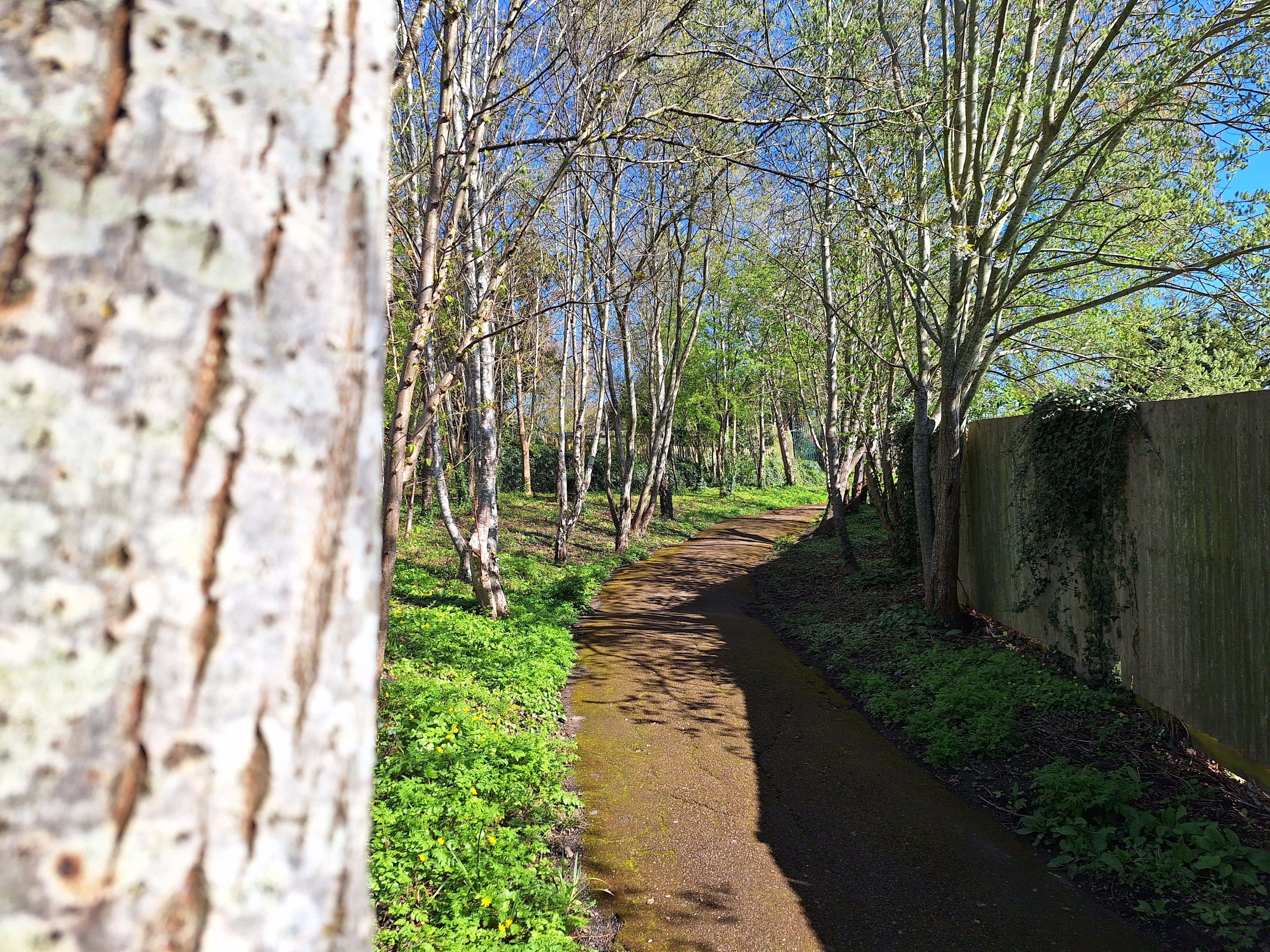 A photo taken with the Samsung Galaxy A54's main camera.