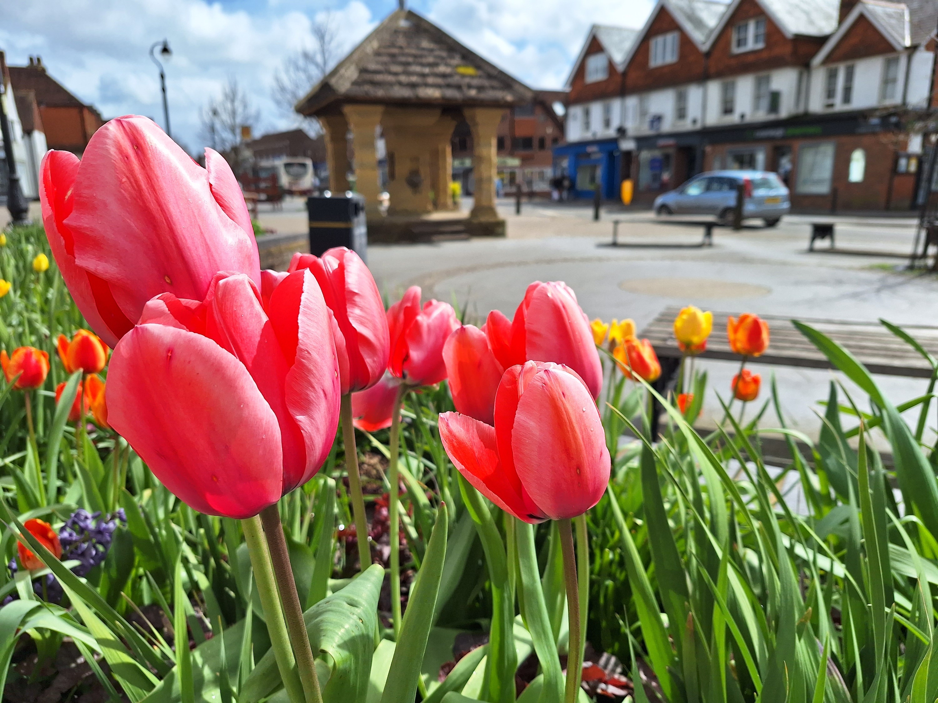 A photo taken with the Samsung Galaxy A54's main camera.