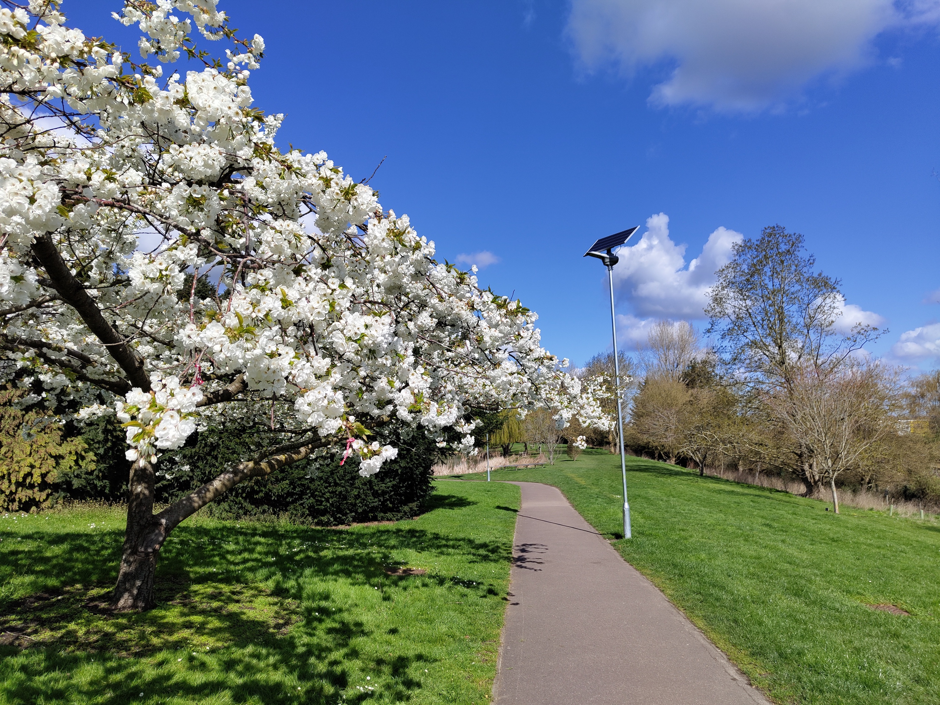A photo taken with the Nothing Phone 1's main camera.