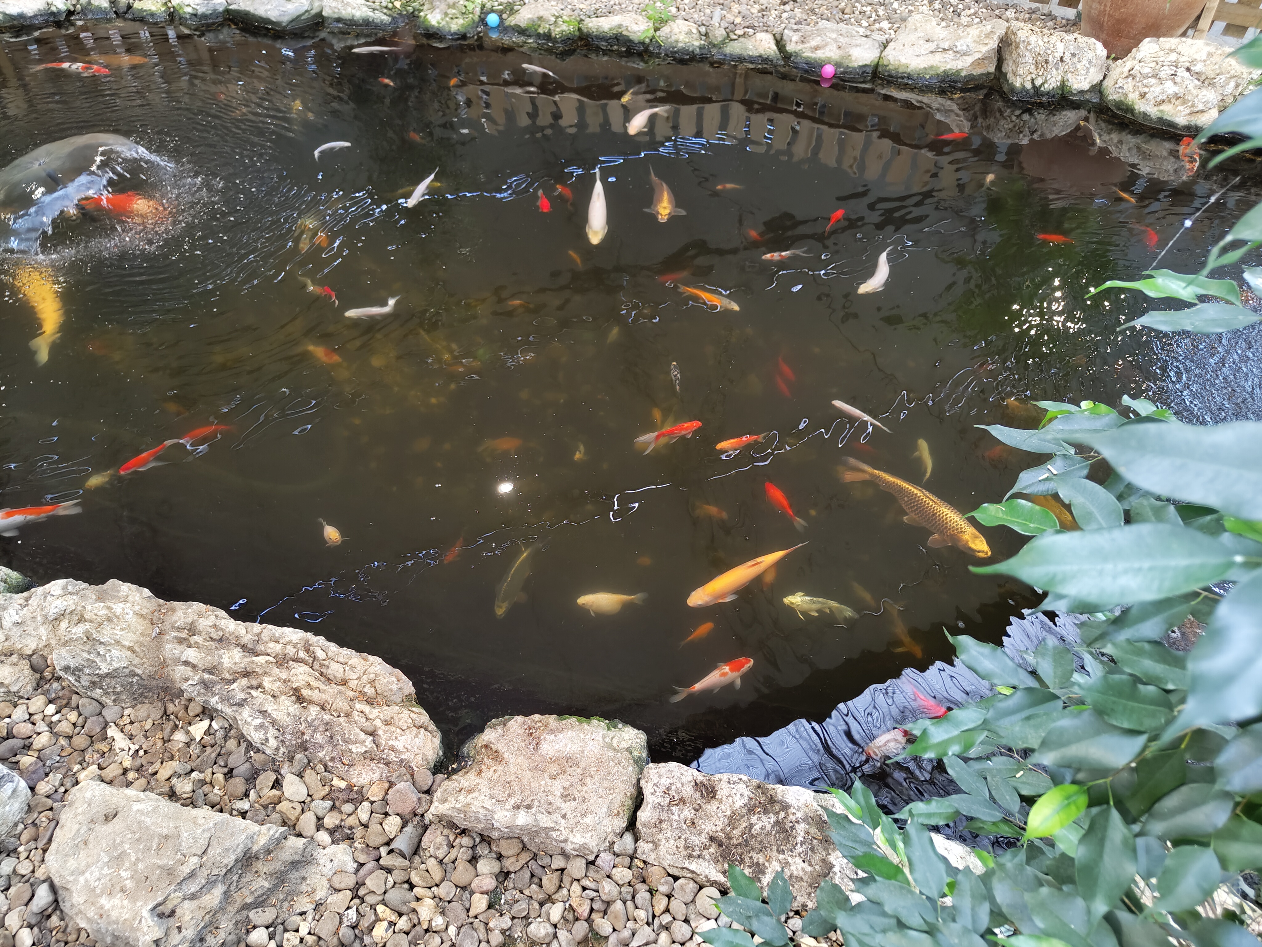 A photo taken with the Nothing Phone 2's main camera.