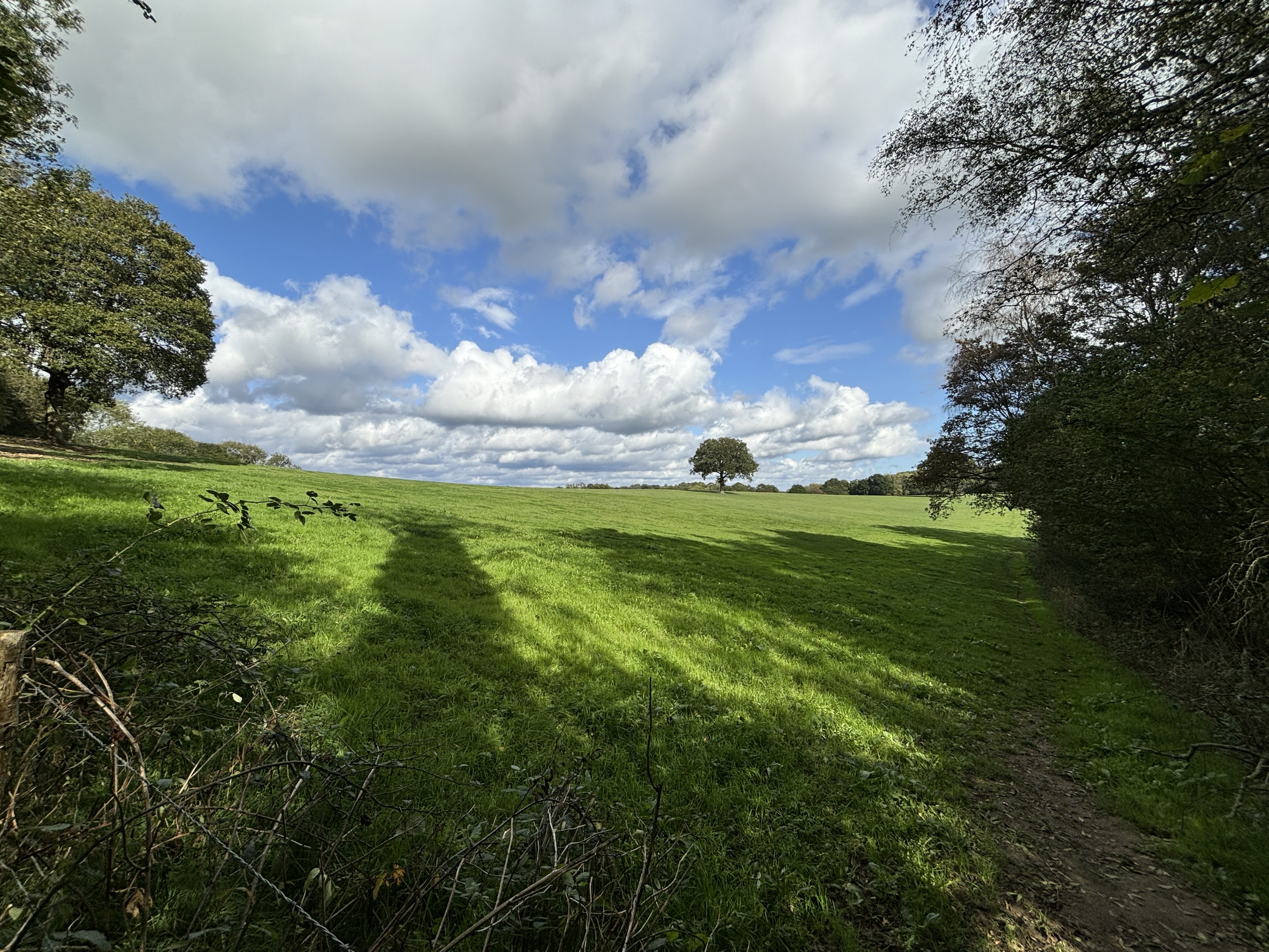 A photo taken with the Apple iPhone 15 Plus's wide-angle camera.