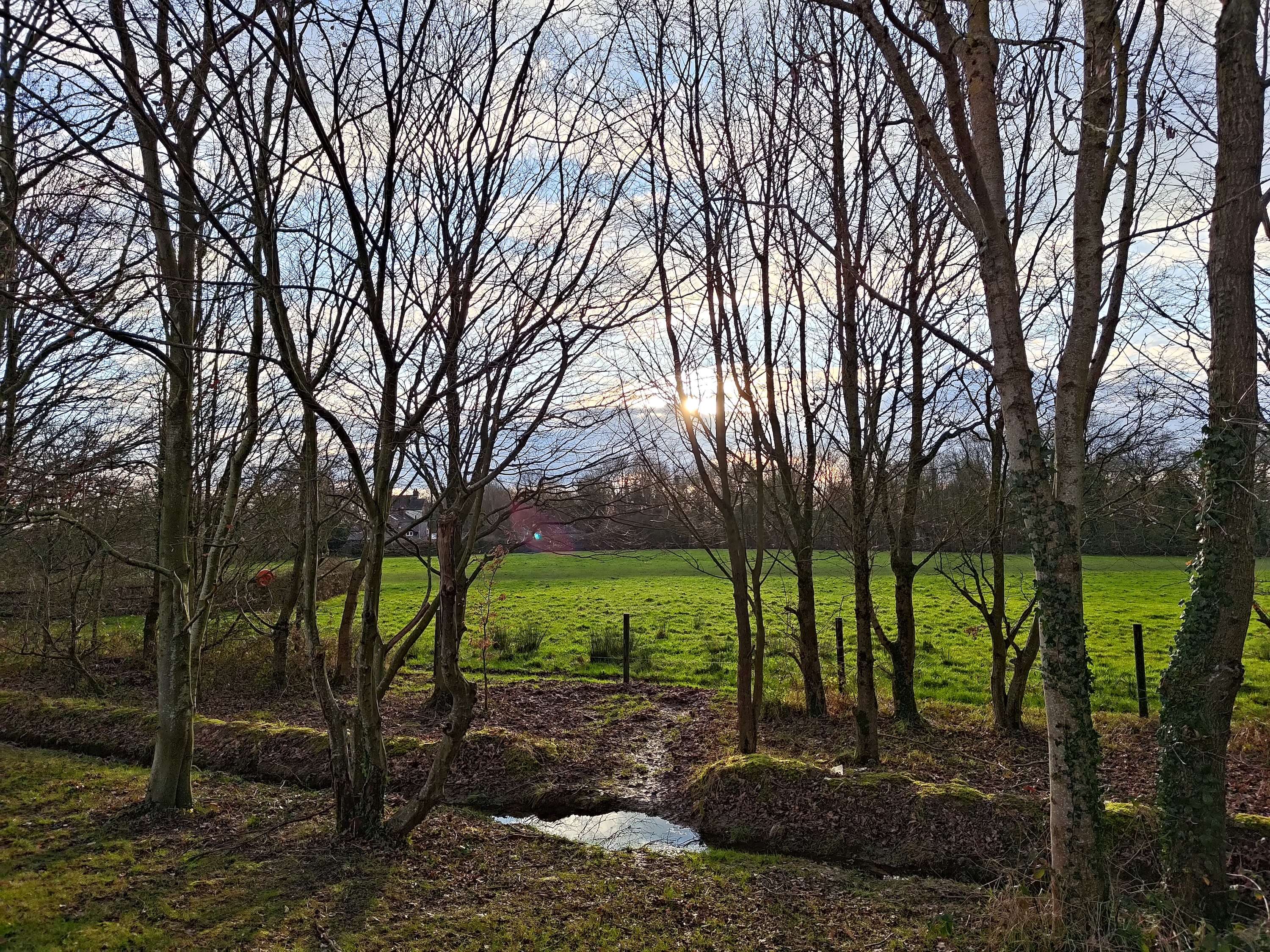 A photo taken using the Asus ROG Phone 8 Pro's main camera.